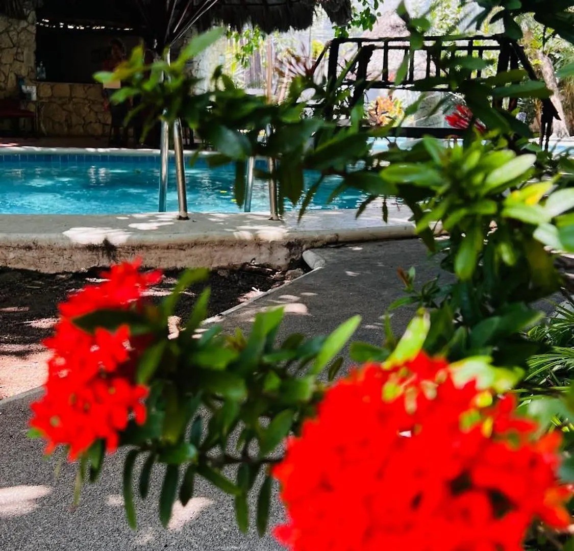 Mayan Art Hotel 10 Avenue Playa del Carmen 3*,