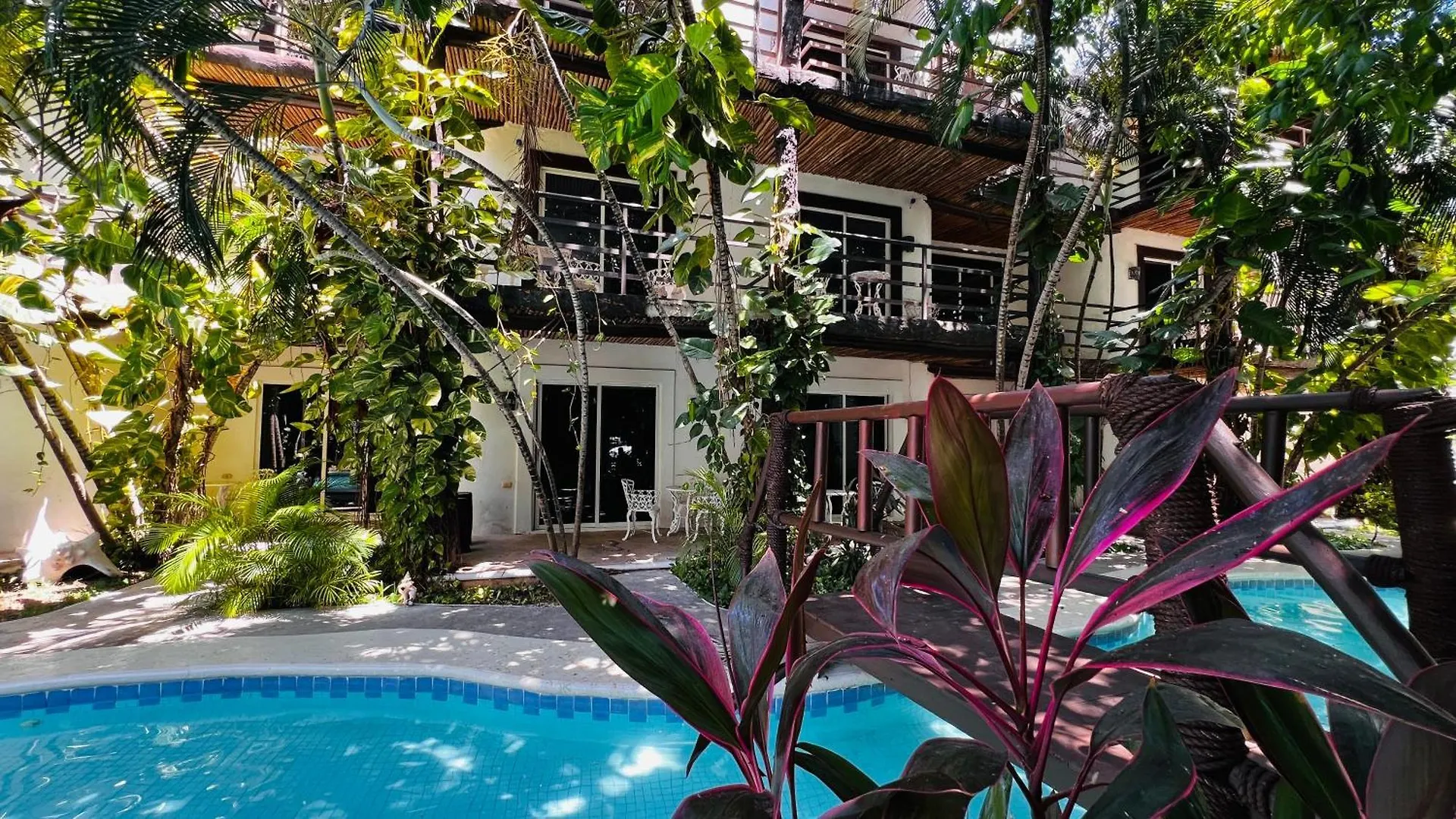 Mayan Art Hotel 10 Avenue Playa del Carmen 3*,  Mexique